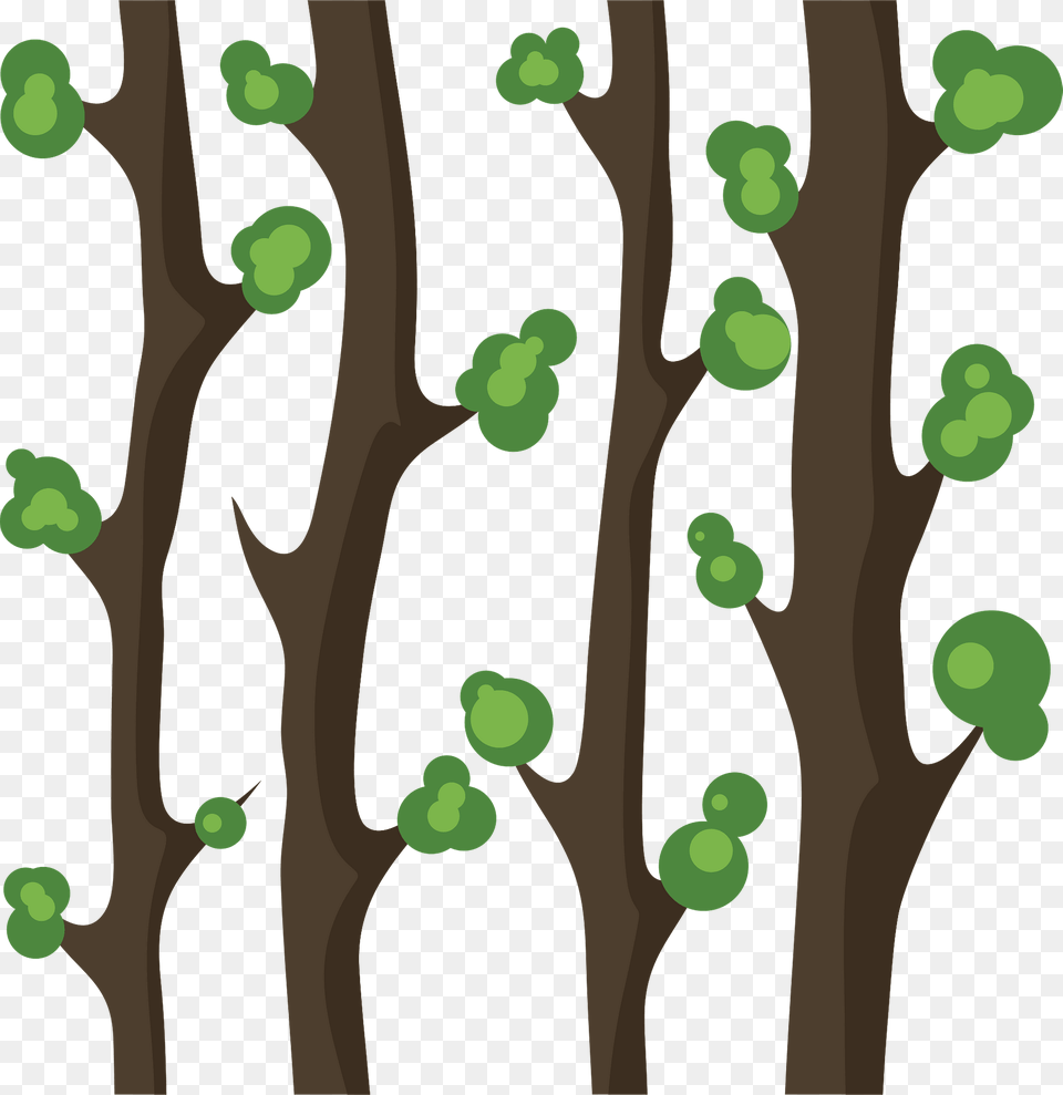 Forest Trees Clipart, Tree Trunk, Tree, Plant, Food Png