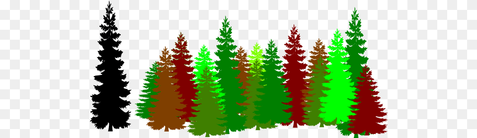 Forest Trees Clipart Pine Trees Silhouette, Plant, Tree, Conifer, Fir Free Transparent Png