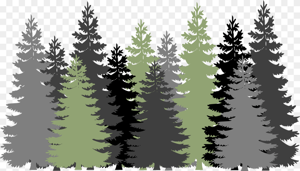 Forest Trees Evergreen Conifers Pines Gray Green Pine Tree Forest Svg, Fir, Plant, Conifer, Vegetation Free Png