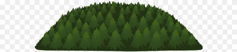 Forest Trees Green Environment Nature Foli Pine Trees Vector, Conifer, Tree, Plant, Vegetation Png