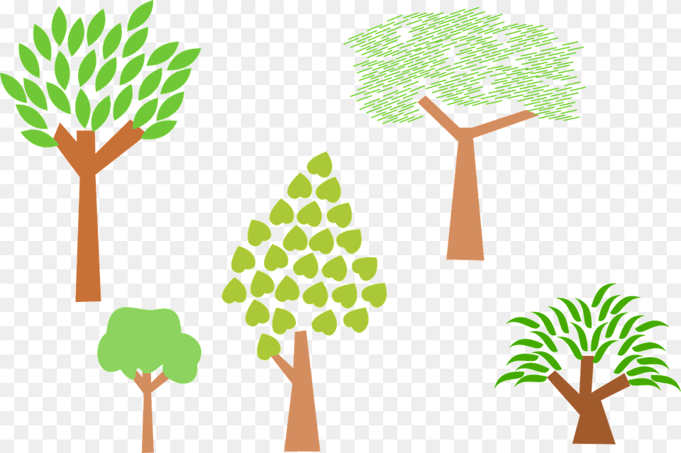 Forest Trees Plants Nature Environment Leaf, Vegetation, Green, Tree, Plant Png Image