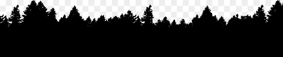 Forest Trees Silhouette, Nature, Night, Outdoors, Lighting Png