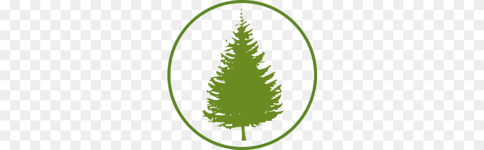 Forestcircle Clip Art, Tree, Plant, Fir, Person Free Png