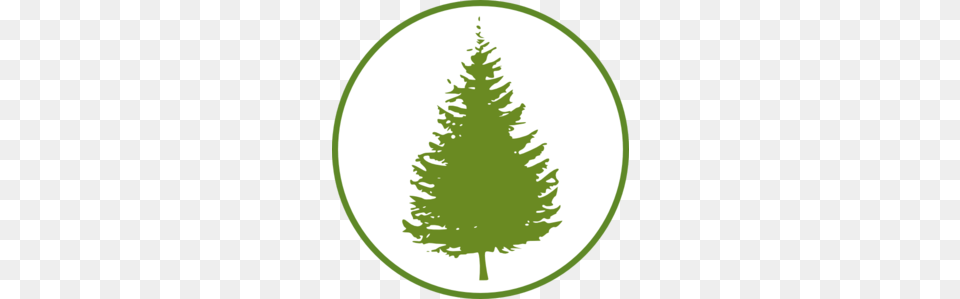 Forestcircle Clip Art, Fir, Pine, Plant, Tree Png