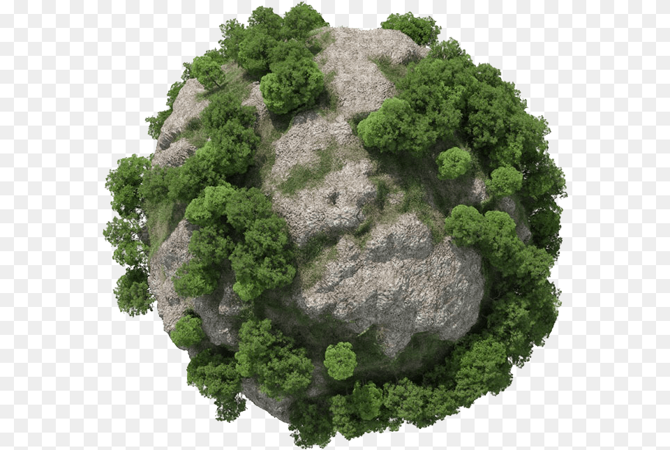 Forester Tree Plugin For Cinema, Plant, Vegetation, Moss, Rock Free Png