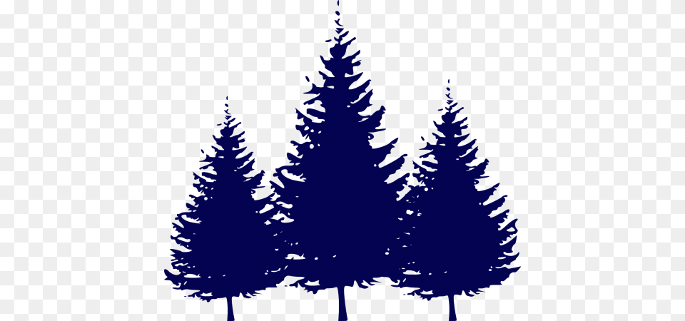 Forestfir Vector Graphics Tree Silhouette Vector, Fir, Pine, Plant, Conifer Png Image