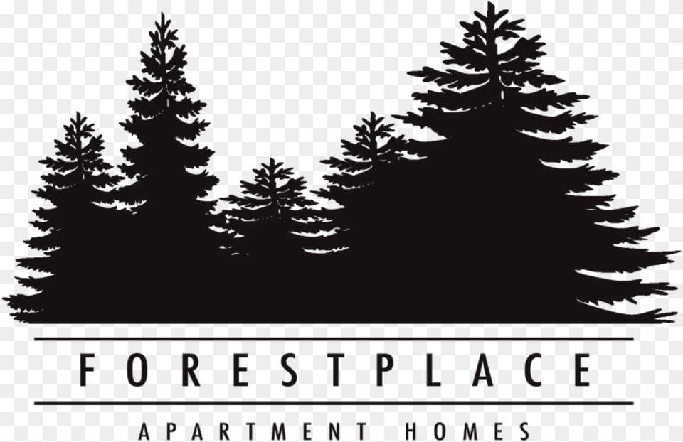 Forestplace Apartment Homes Pine Tree Silhouette Vector, Fir, Plant, Conifer, Vegetation Png Image