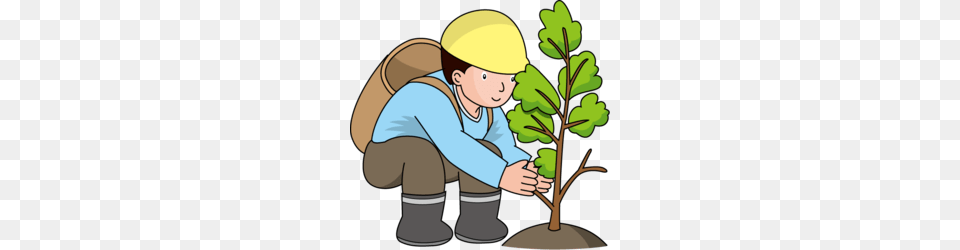 Forestry Clip Art Clipart, Planting, Plant, Garden, Gardener Png Image