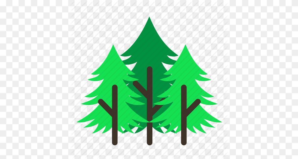 Forestry Forrest Leaves Nature Pine Tree Trees Icon, Green, Plant, Fir Free Png