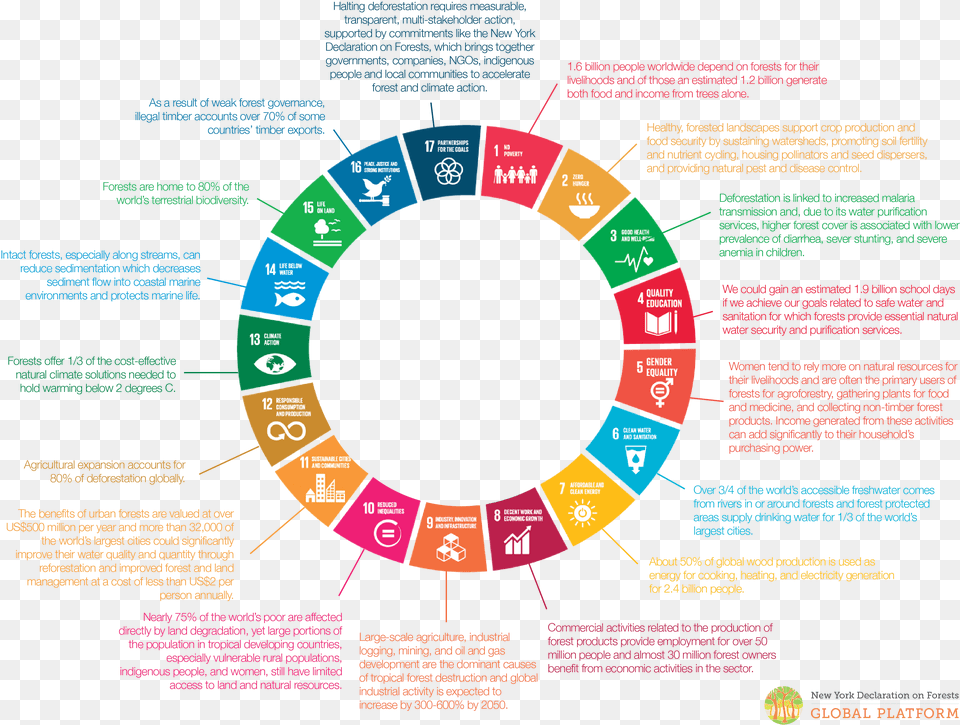 Forests Play A Clear Role In Supporting Sustainable Sustainable Development Goals Circle, Urban, Text, Hockey, Ice Hockey Png Image