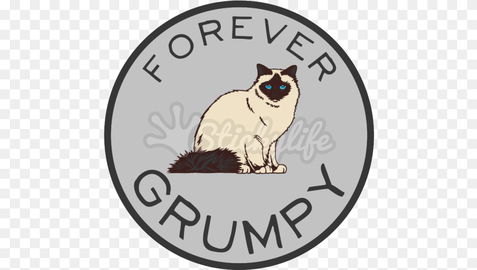Forever Grumpy Cat Circle Car Magnet E Pluribus Unum One Dollar Coin, Animal, Mammal, Pet Free Png Download