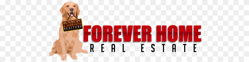 Forever Home Real Estate Blog Crown Cement, Animal, Canine, Dog, Golden Retriever Free Png Download