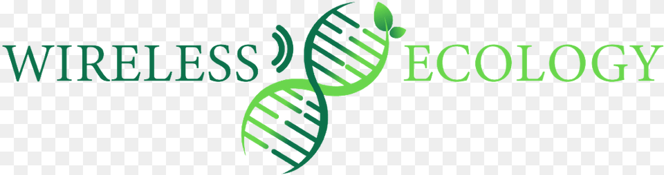 Forever Living Products, Green, Logo, Plant, Vegetation Png