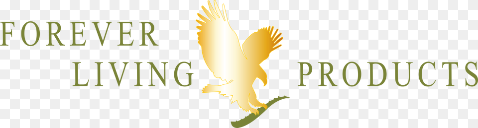 Forever Living Products Logo, Animal, Bird, Eagle Png