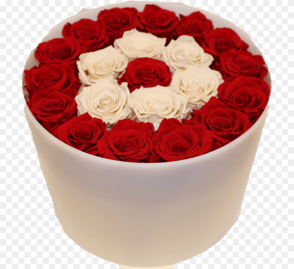 Forever Rose Background, Plant, Flower Bouquet, Flower Arrangement, Flower Free Transparent Png