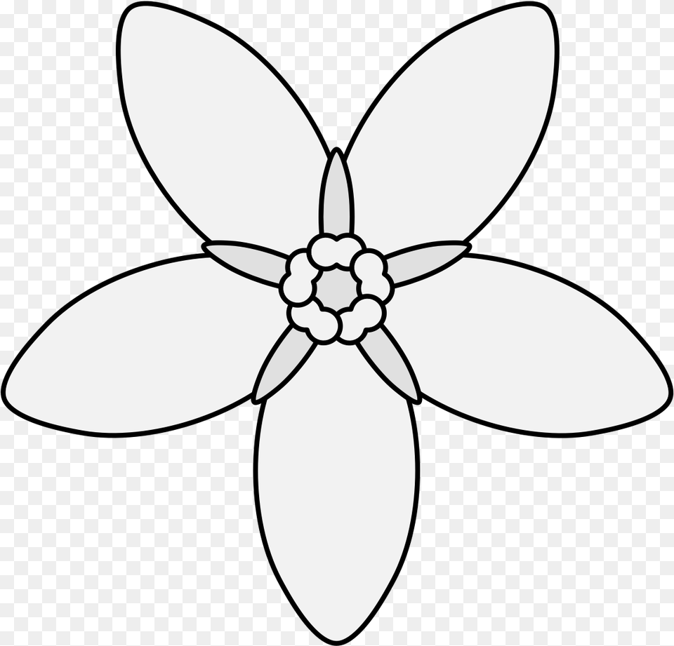 Forget Illustration, Stencil, Flower, Plant Png Image