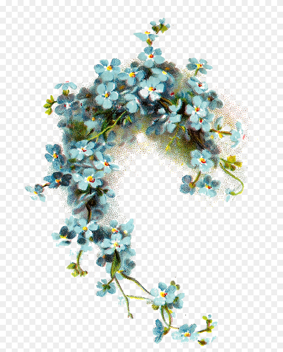 Forget Me Knot, Art, Floral Design, Graphics, Pattern Png Image