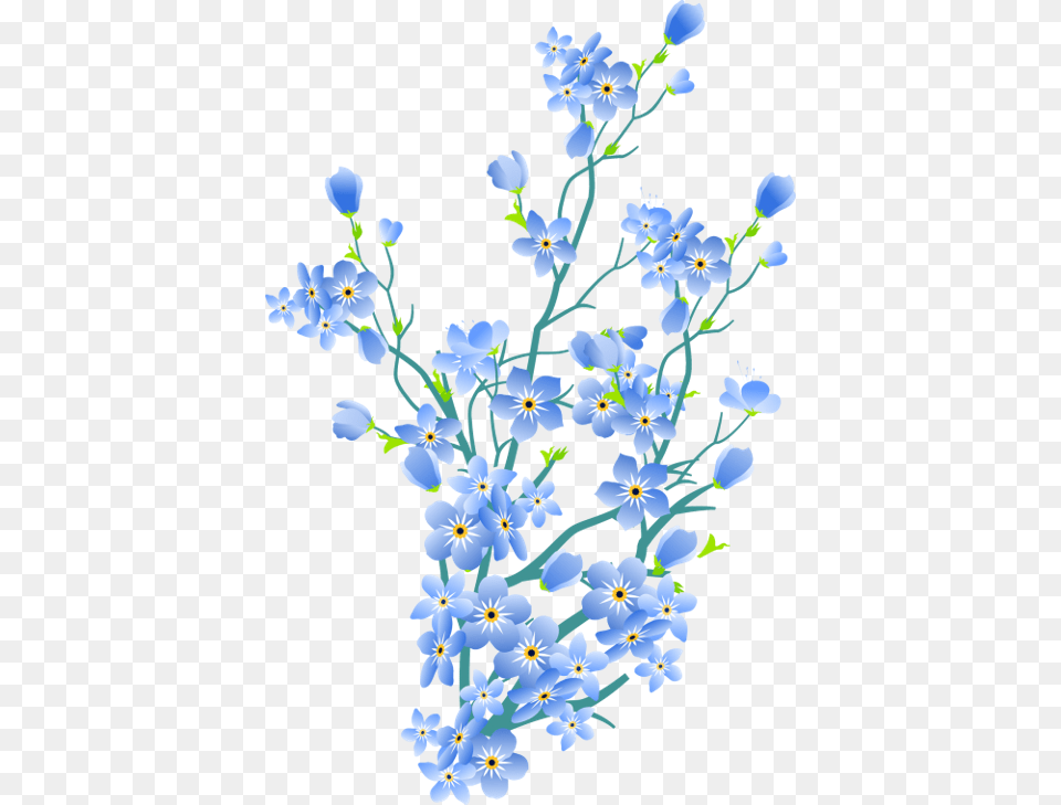 Forget Me Not Background, Plant, Pattern, Flower, Petal Free Png Download