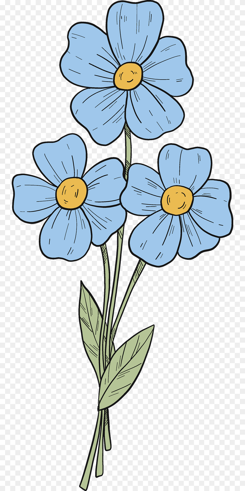 Forget Me Not Clipart, Anemone, Daisy, Flower, Plant Free Png Download