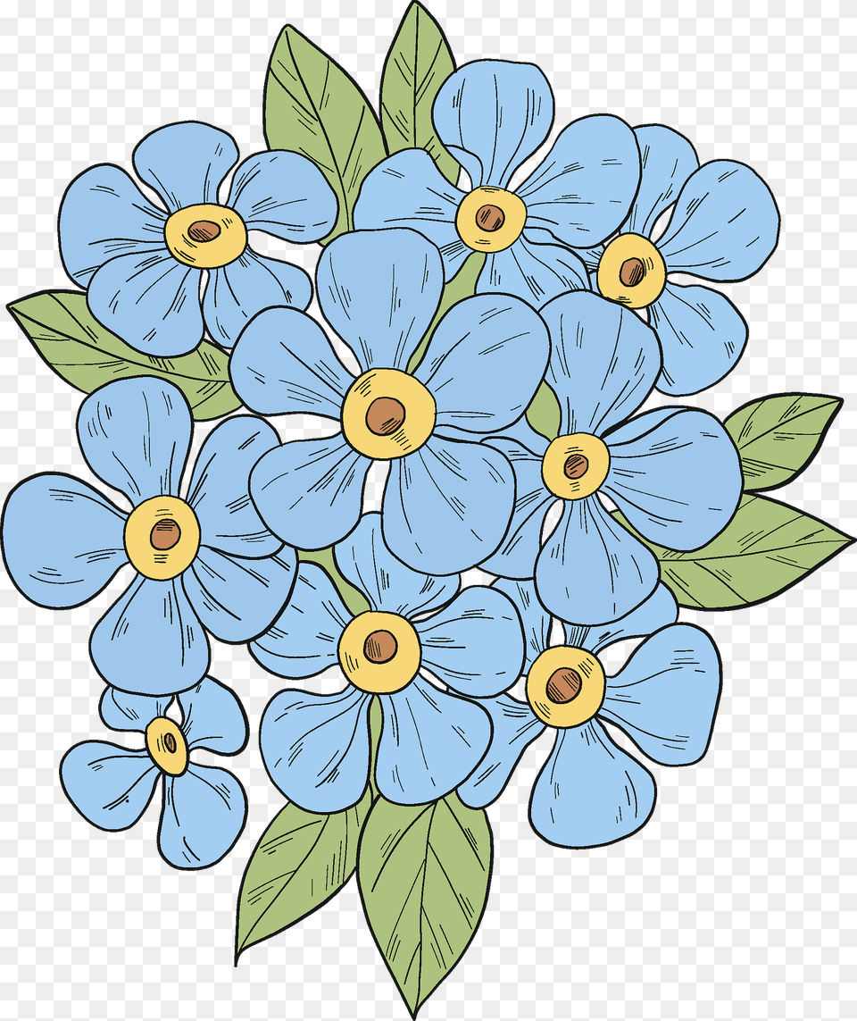Forget Me Not Clipart, Anemone, Art, Floral Design, Flower Free Png