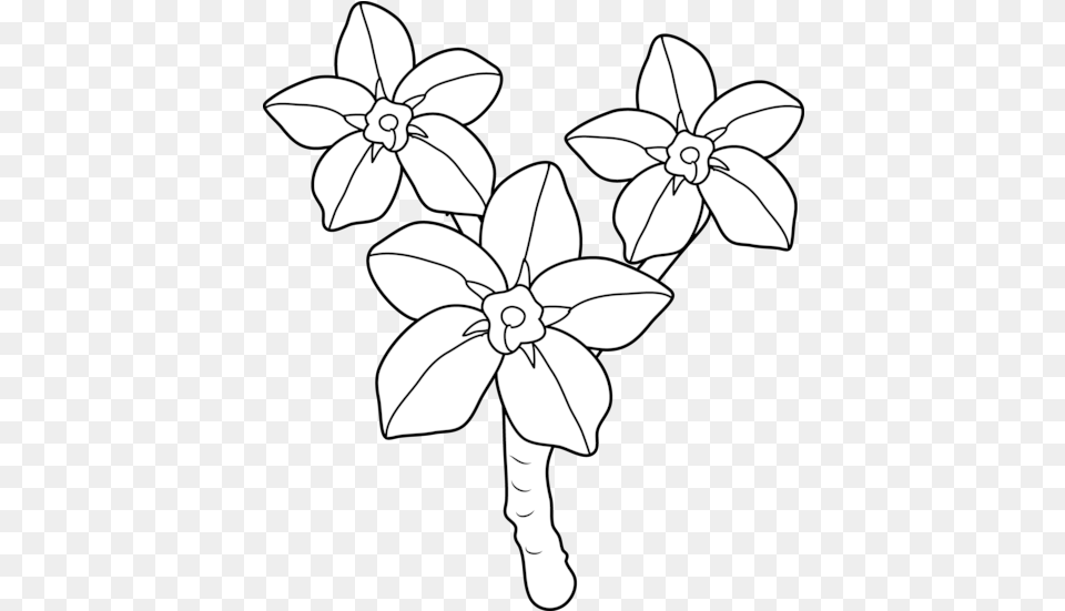 Forget Me Not Coloring, Art, Flower, Plant, Daffodil Free Png Download
