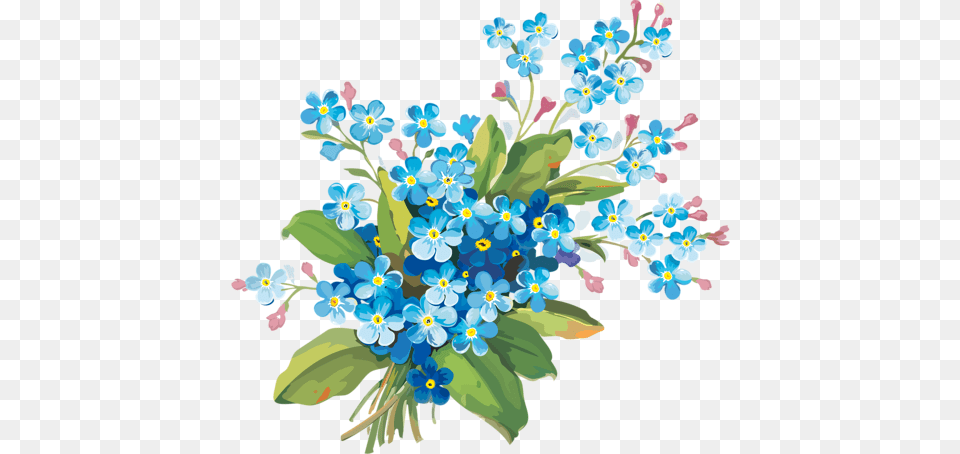 Forget Me Not Flower, Pattern, Plant, Art, Graphics Png Image