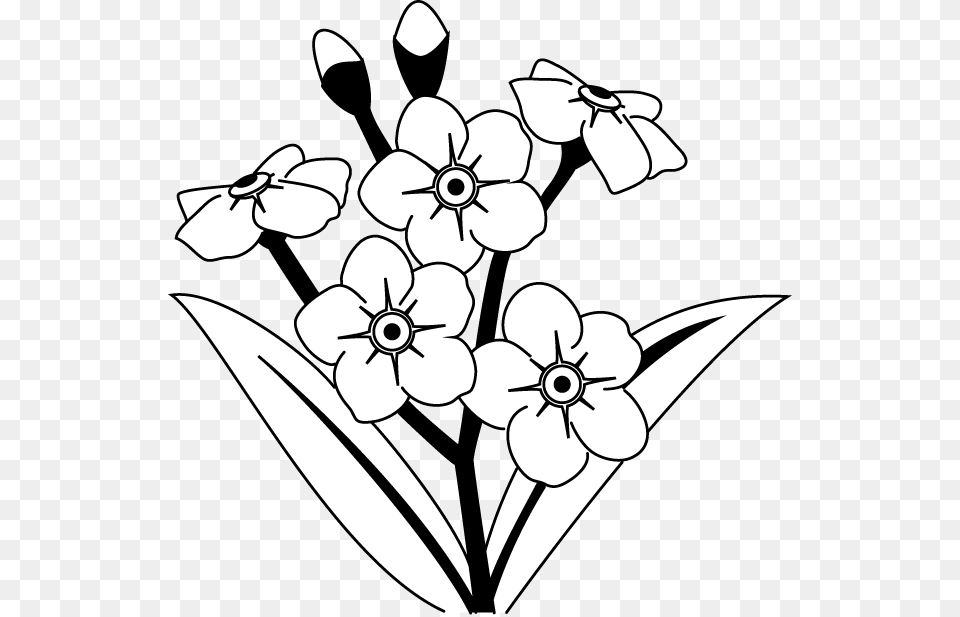 Forget Me Not Flower Clip Art, Plant, Drawing, Chandelier, Lamp Free Transparent Png