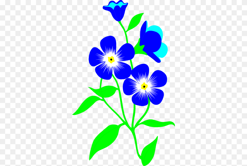 Forget Me Not Flower Clip Art, Anemone, Flax, Plant, Petal Free Png