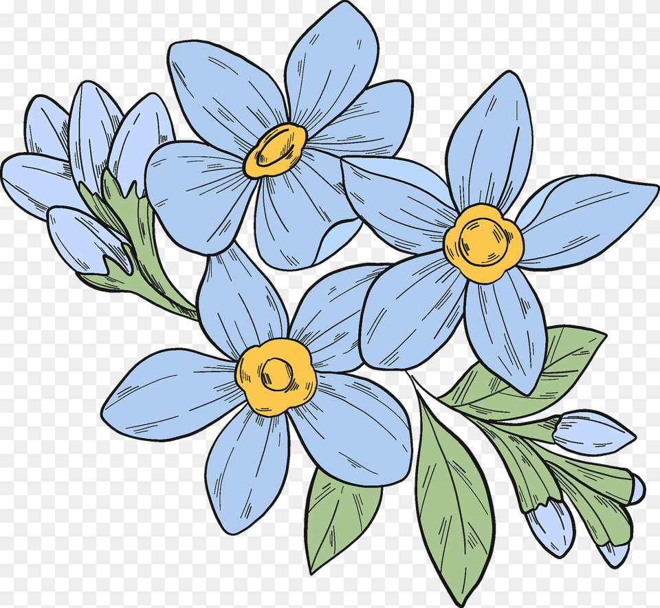 Forget Me Not Flowers Clipart, Pattern, Art, Floral Design, Flower Free Transparent Png