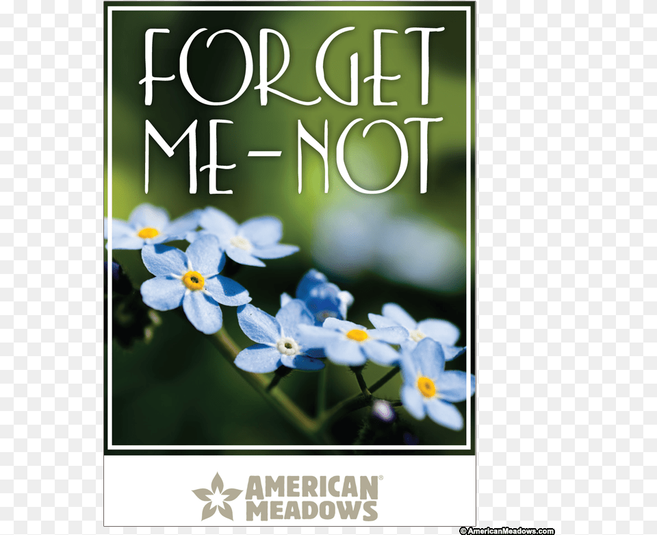 Forget Me Not Full Size Seed Packet Vintage Paper Forget Me Not Flowers, Flower, Plant, Petal, Book Free Png Download