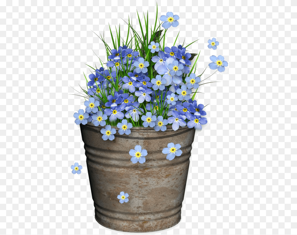 Forget Me Not Logo, Potted Plant, Plant, Flower, Flax Free Png Download