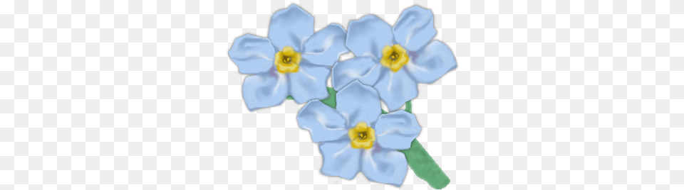 Forget Me Not Transparent Picture Forget Me Not Flower Clipart Transparent, Anemone, Anther, Daffodil, Plant Free Png