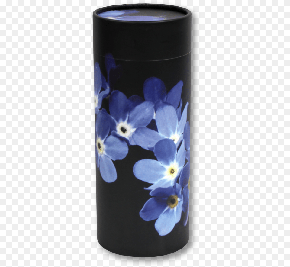 Forget Me Not Viola, Flower, Plant, Cup, Petal Free Png Download