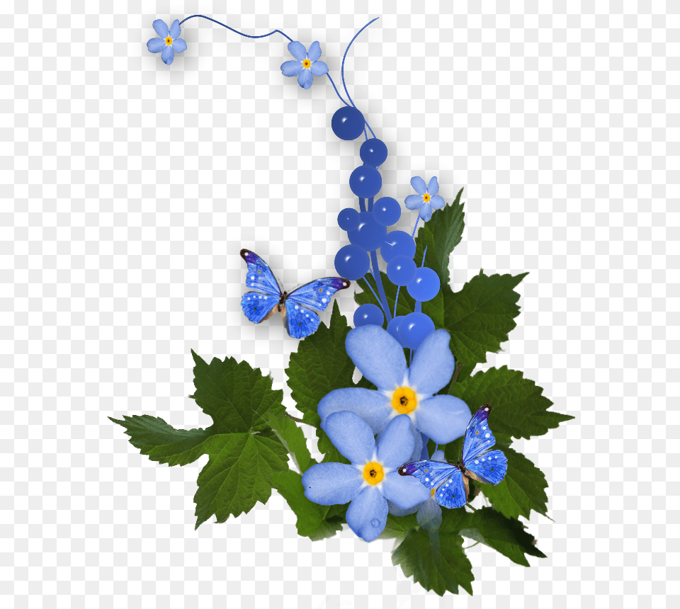 Forget Me Nots Buona Festa Dei Nonni Gif, Anemone, Flower, Geranium, Plant Png Image
