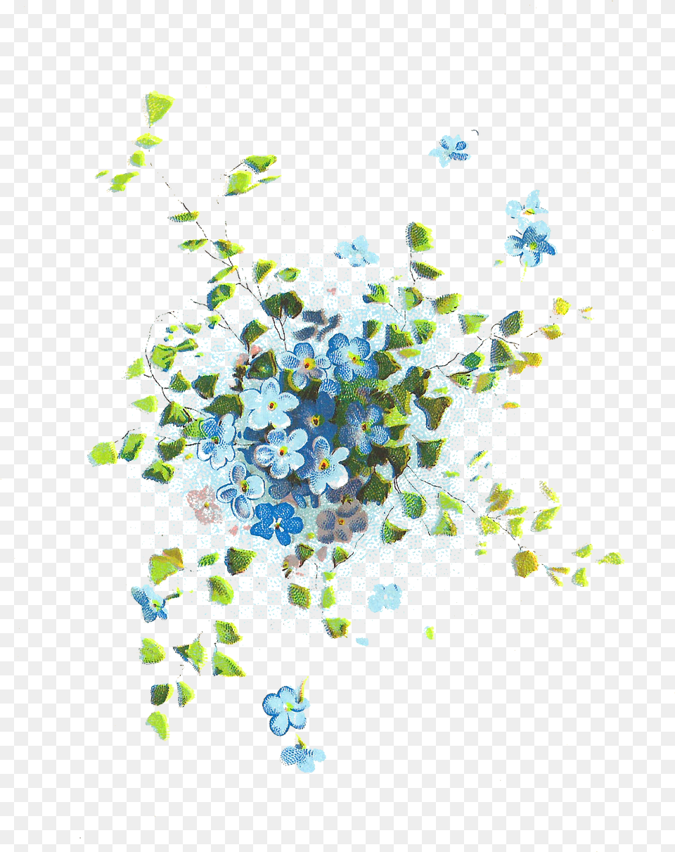 Forget Me Nots Graphics, Pattern, Plant, Art, Accessories Png Image