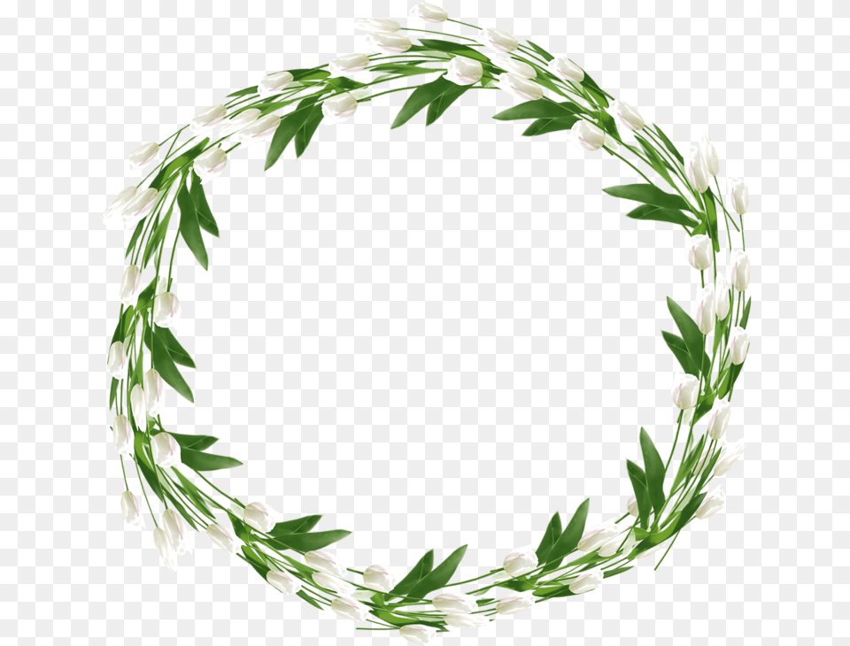 Forgetmenot Frames Decoupage Green Flower Crown, Plant, Flower Arrangement, Wreath Free Png