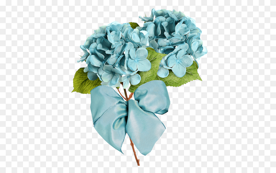 Forgetmenot Hydrangeas, Flower, Flower Arrangement, Flower Bouquet, Geranium Free Transparent Png