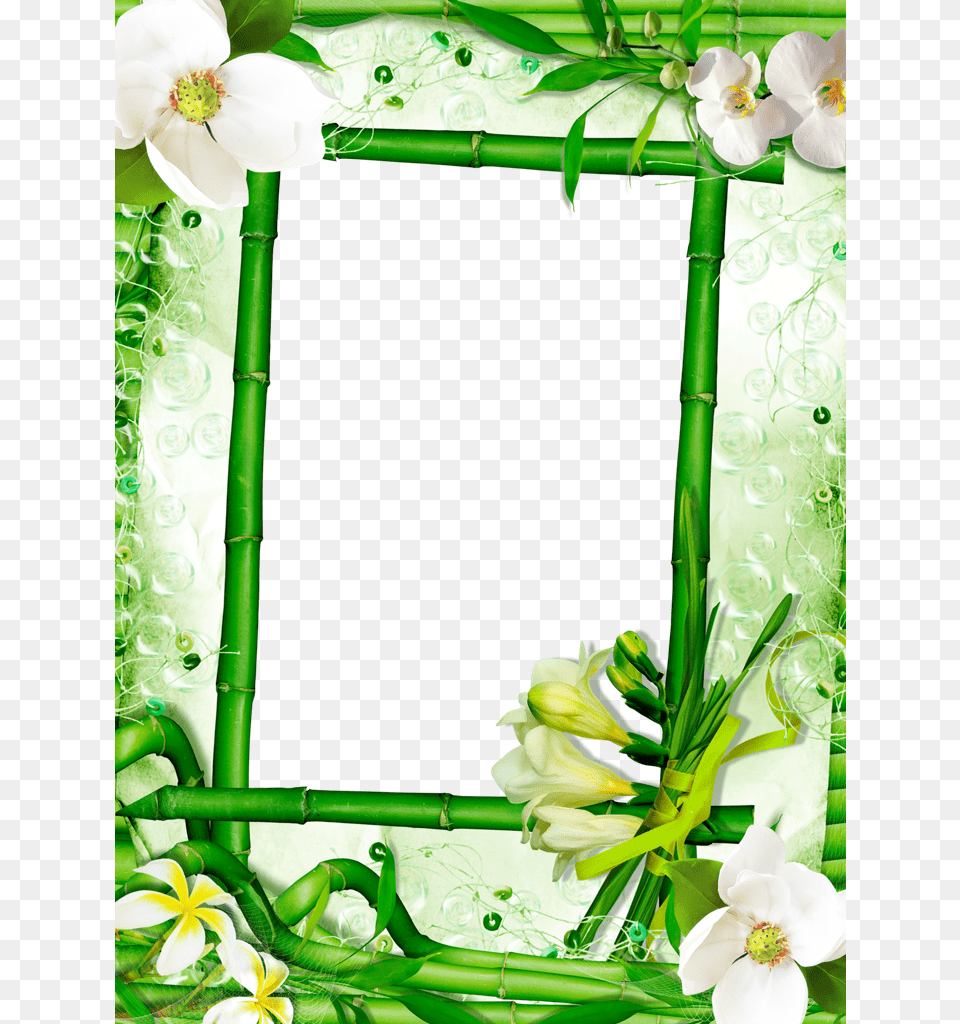 Forgetmenot Spa Frames Bamboo, Flower, Flower Arrangement, Green, Plant Free Png
