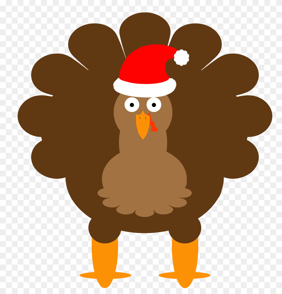Forgetting Crm Software Is Like Forgetting The Turkey, Animal, Beak, Bird, Vulture Free Png
