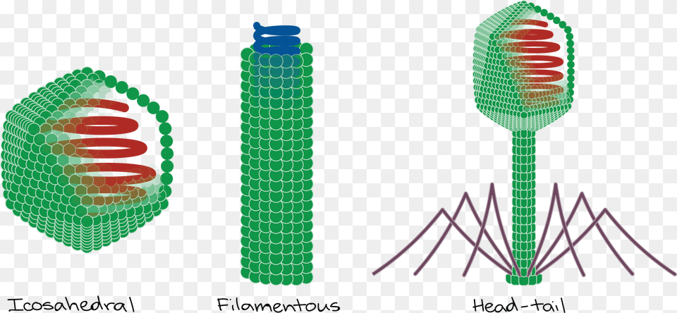 Forma Icosaedrica Virus, Brush, Device, Tool, Dynamite Png Image