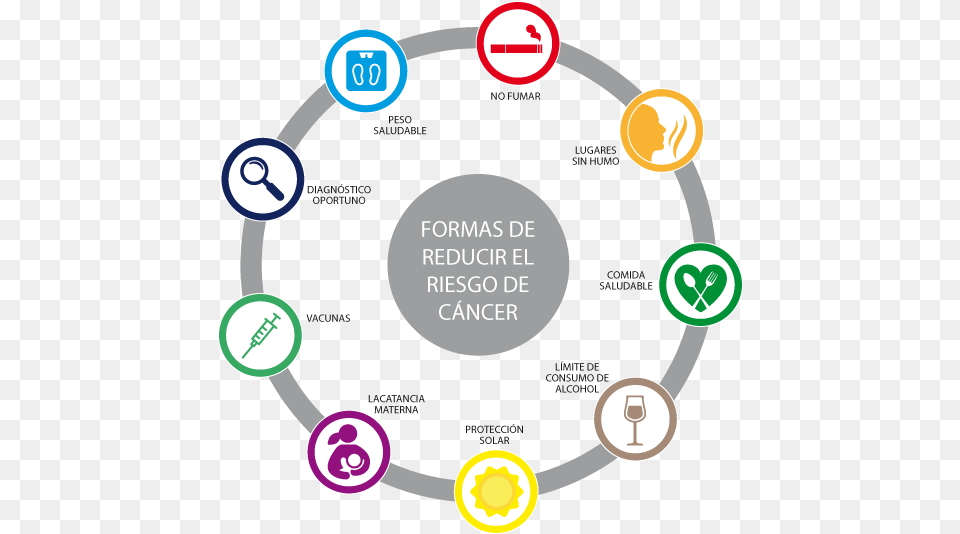 Formas De Reducir El Riesgo De Cncer Circle, Text, Disk, Symbol Png Image