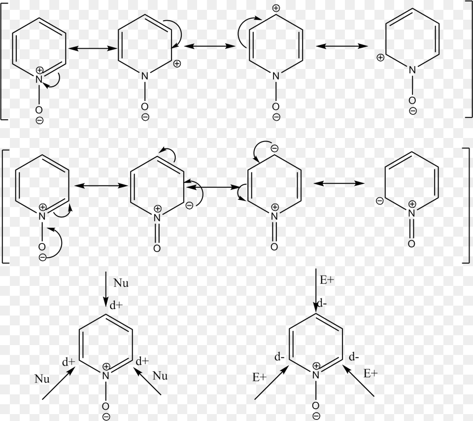 Formas Resonantes N Oxido De Piridina Png