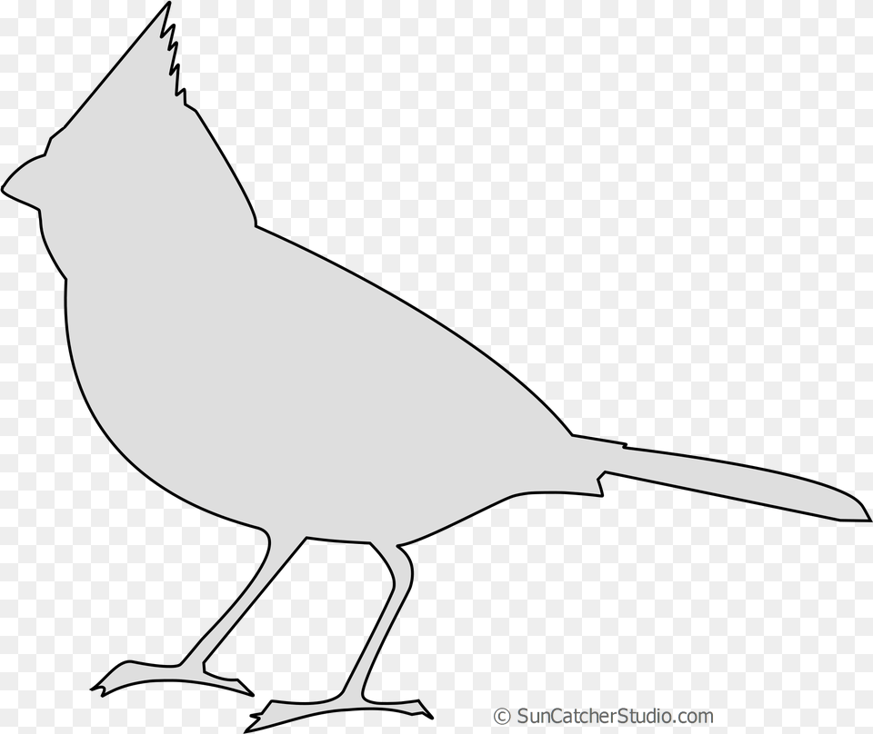 Format, Animal, Bird, Jay, Person Free Transparent Png
