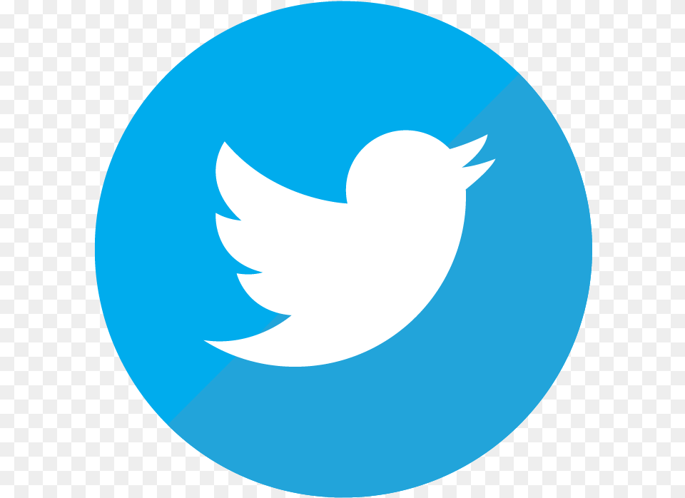 Format Twitter Logo Clipart Logo Twitter Icon, Animal, Fish, Sea Life, Shark Free Transparent Png