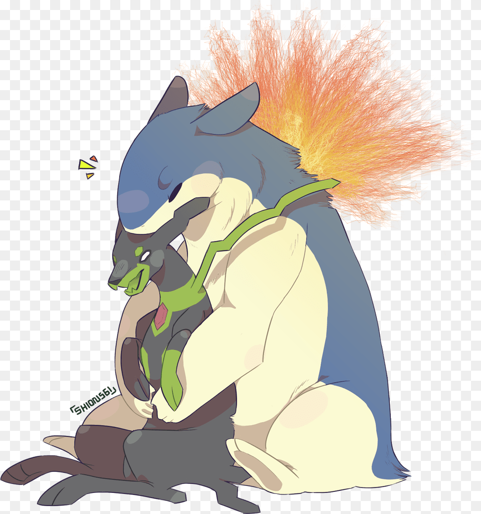 Forme Zygarde And Typhlosion Cartoon, Person Free Transparent Png