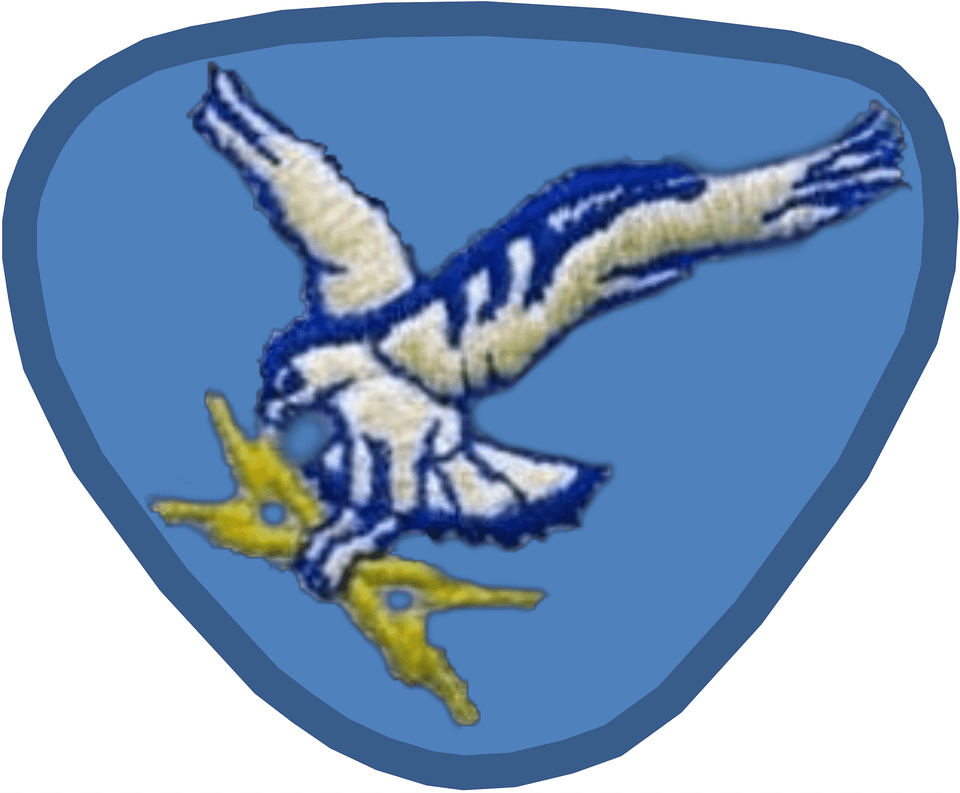 Former Us Air Force 1041st Sps Beret Flash Clipart, Guitar, Musical Instrument, Animal, Bird Png Image