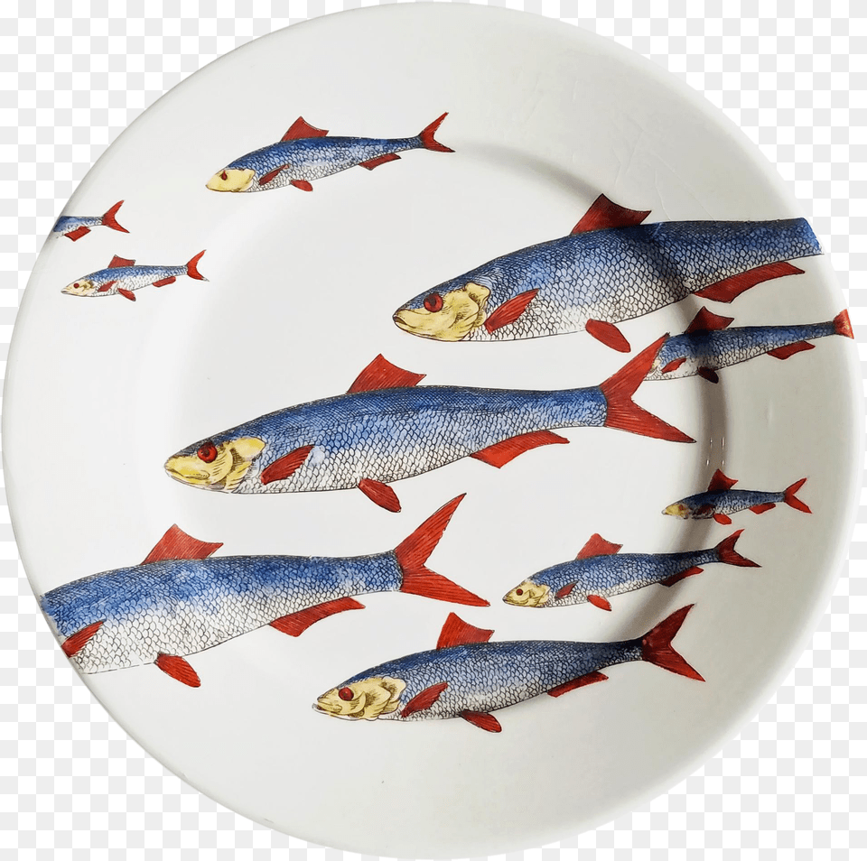 Fornasetti Fish, Animal, Meal, Sea Life, Food Presentation Free Png Download