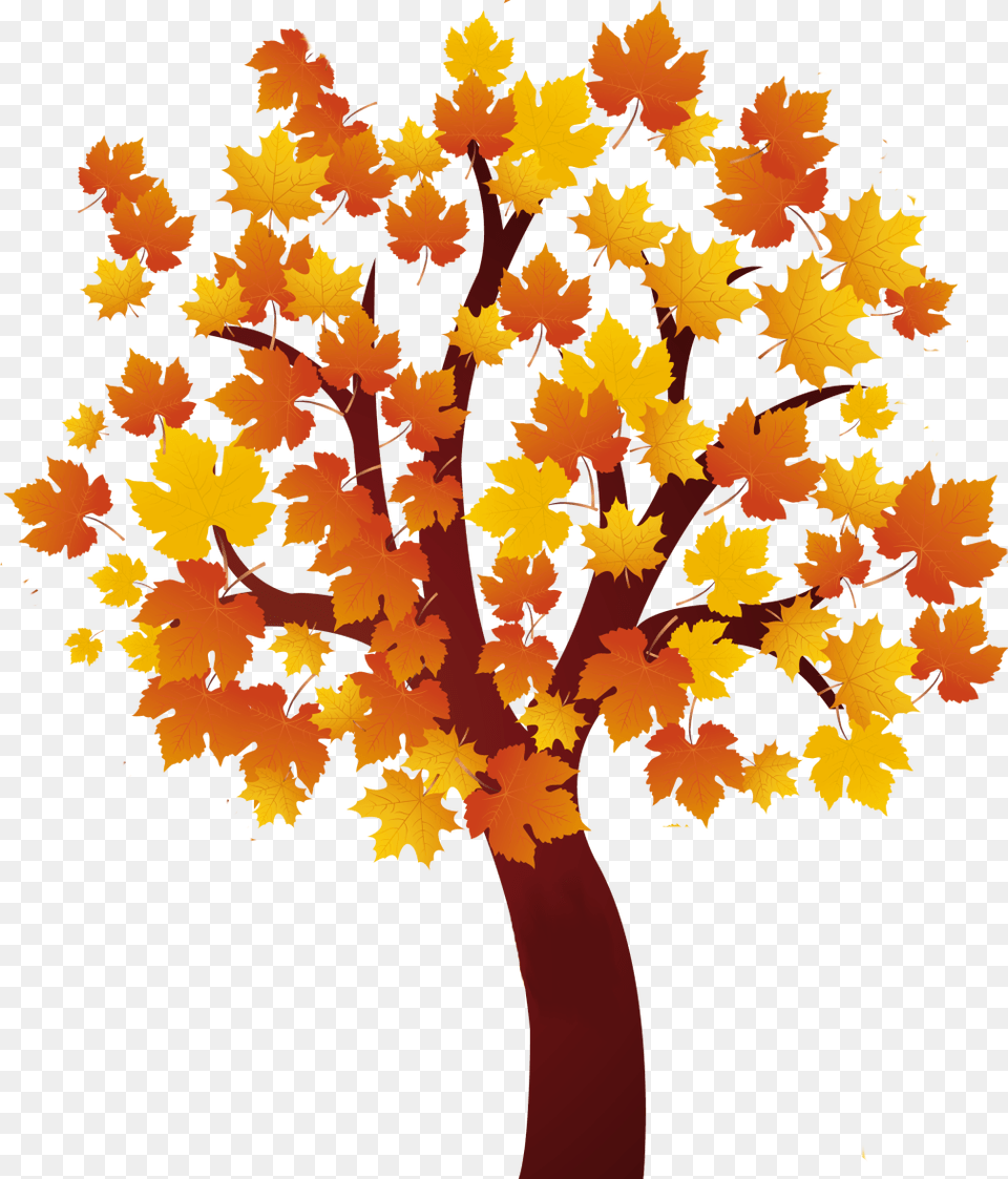 Forrest, Leaf, Maple, Plant, Tree Free Transparent Png