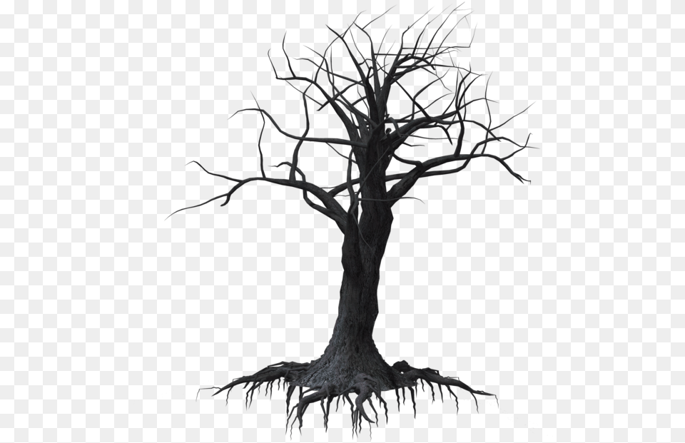 Forrest Drawing Dead Tree Forest Creepy Tree Transparent Background, Art, Plant Png