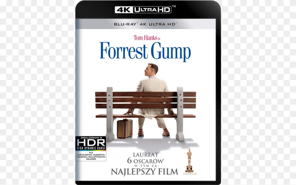 Forrest Gump Forrest Gump Blu Ray, Adult, Bench, Furniture, Male Free Png Download